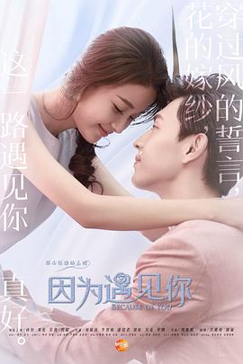 因为遇见你第20集