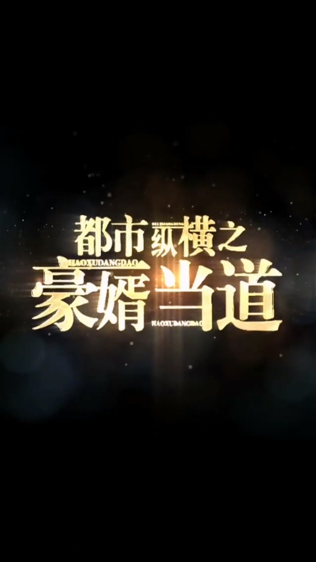 都市纵横之豪婿当道第33集