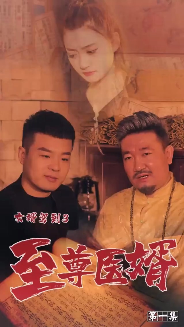 女婿驾到3第01集