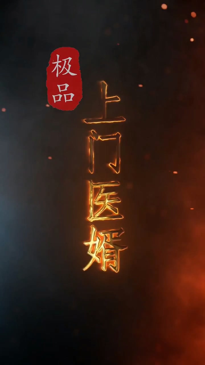 极品上门医婿第37集