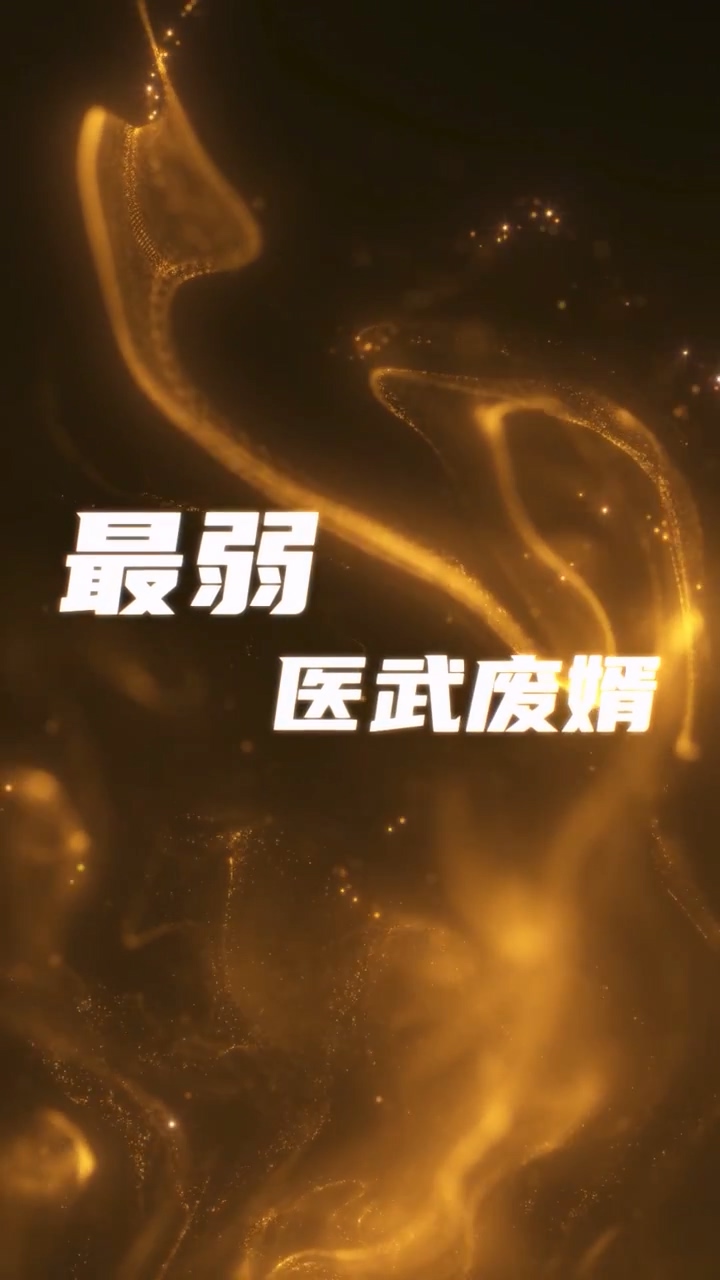 最弱医武废婿第65集
