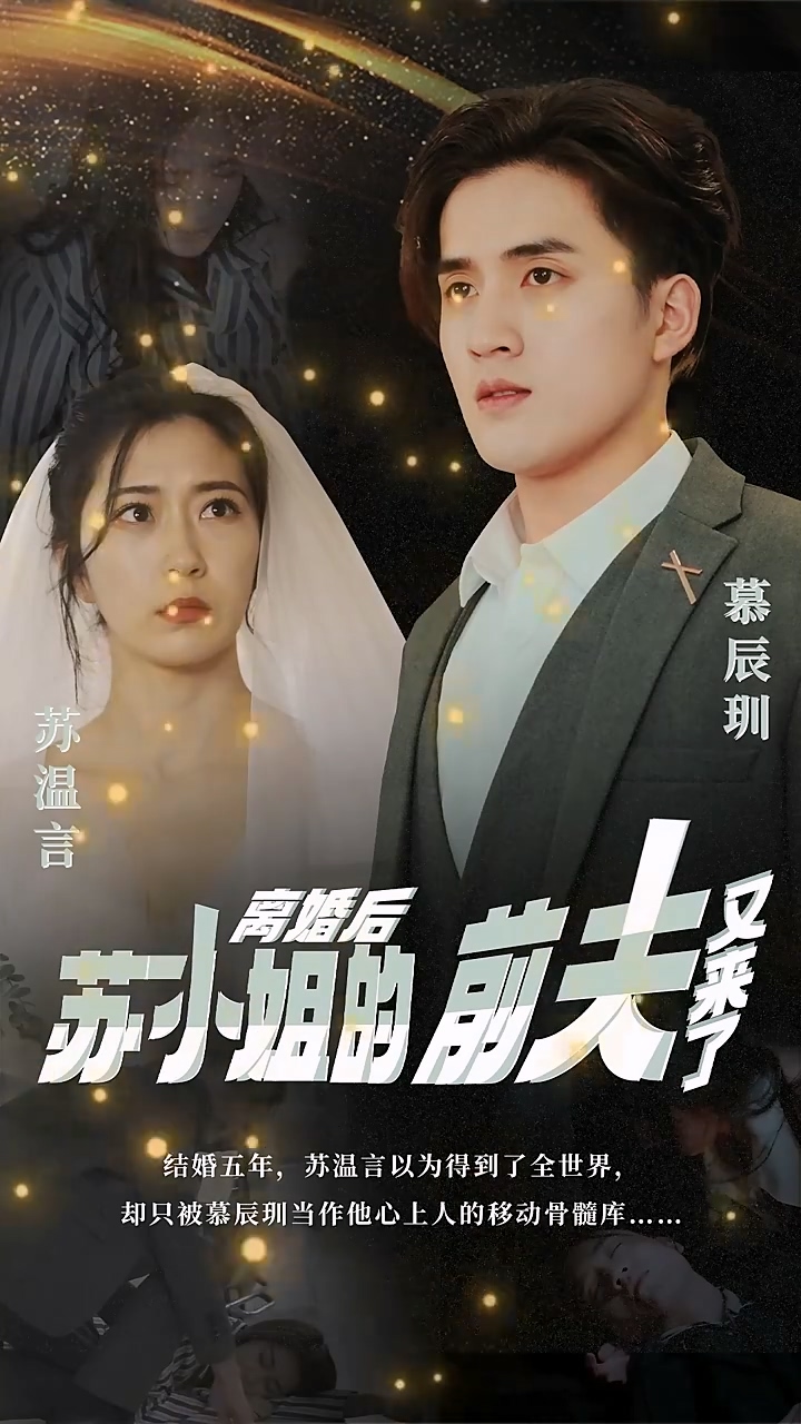离婚后，苏小姐的前夫又来了第13集