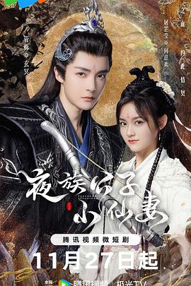 夜族公子小仙妻第14集