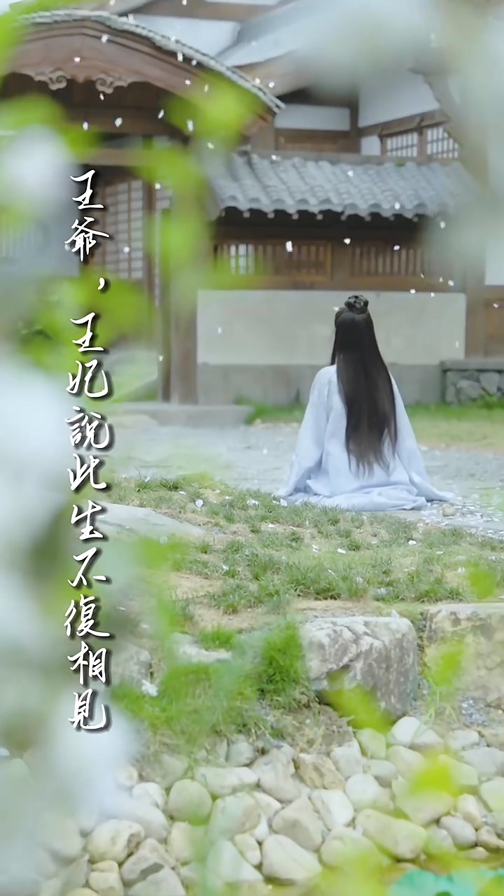 王爷，王妃说此生不复相见第32集