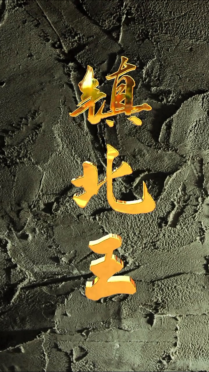 镇北王第71集