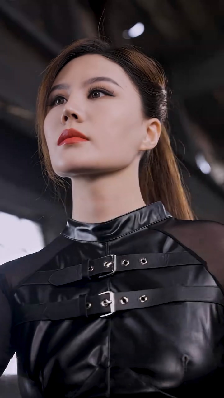 隐龙出世第27集