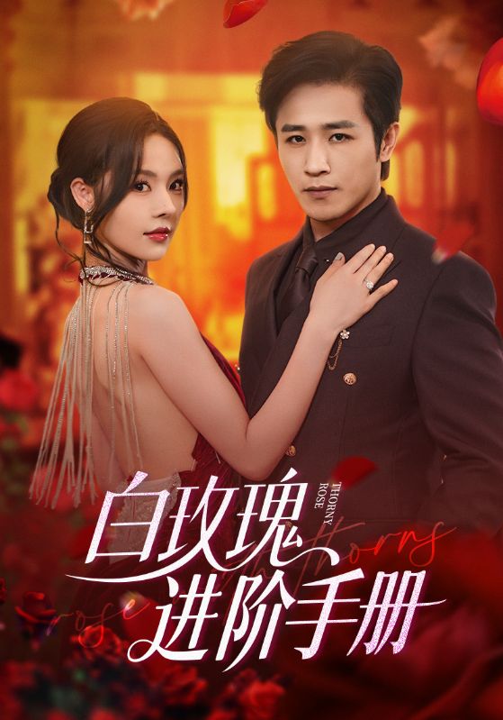 白玫瑰进阶手册(全集)