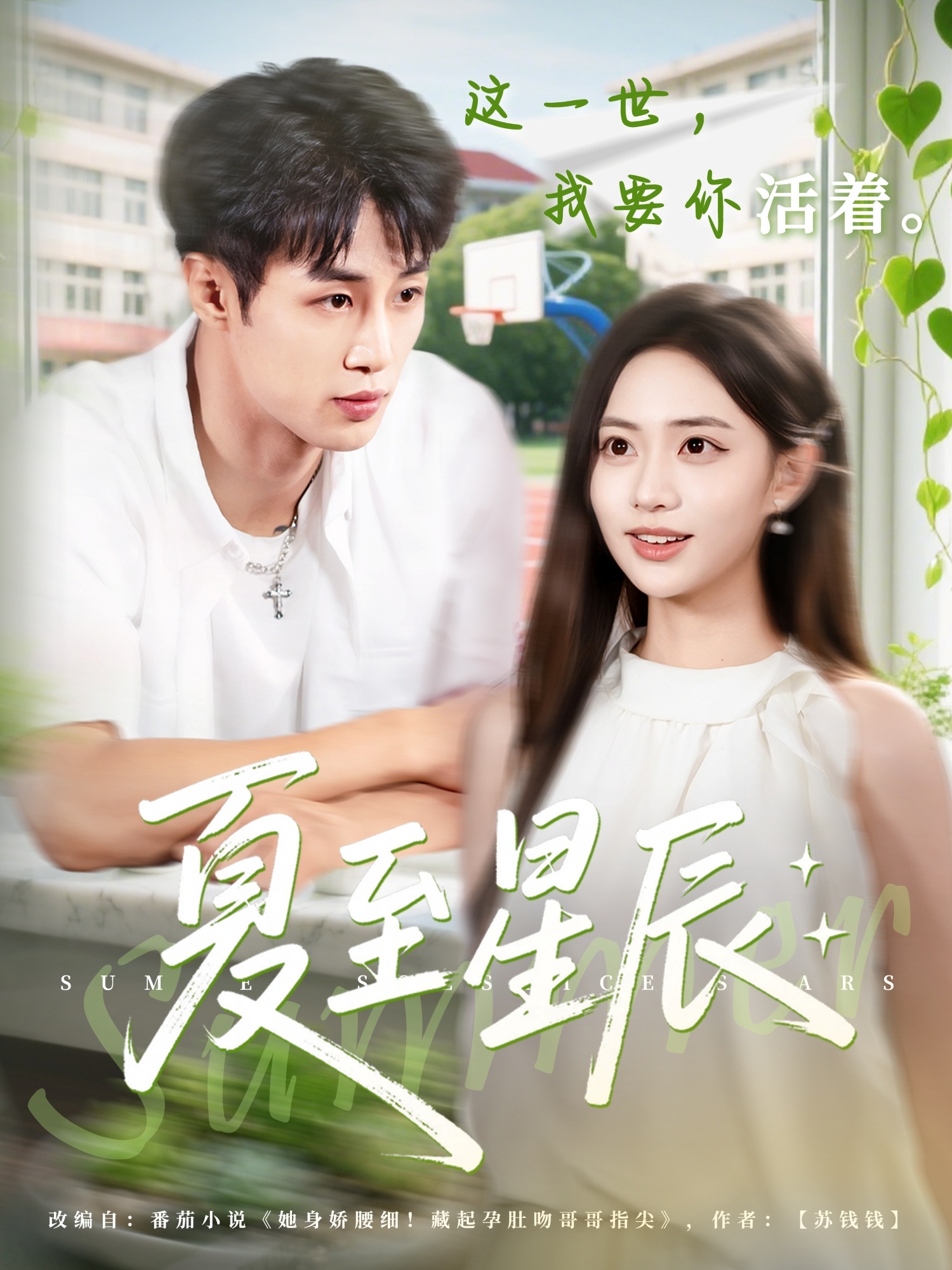 夏至星辰第12集