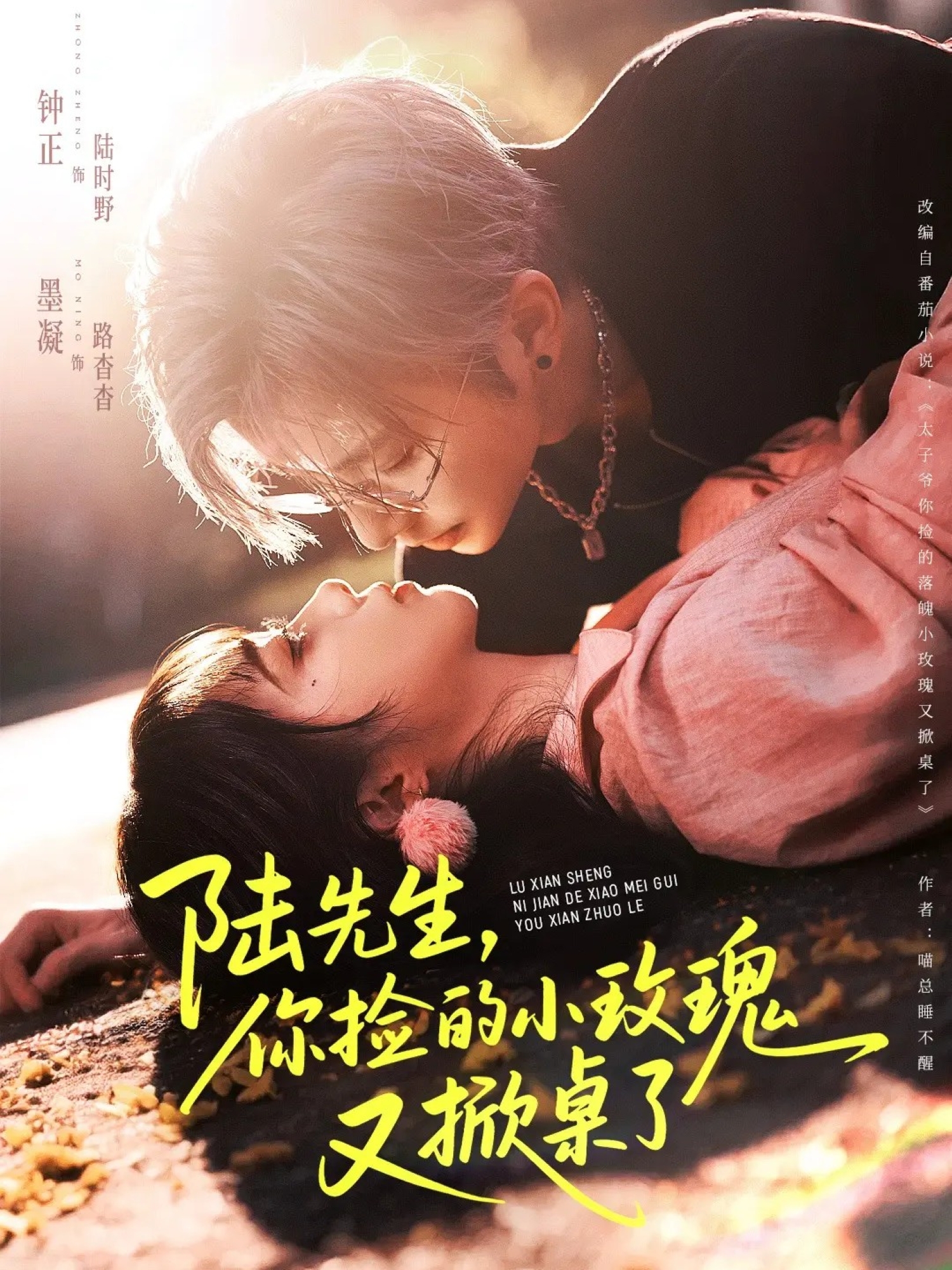 陆先生，你捡的小玫瑰又掀桌了(全集)