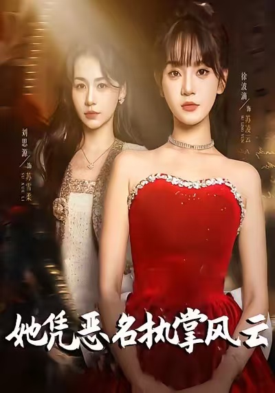 她凭恶名执掌风云(全集)