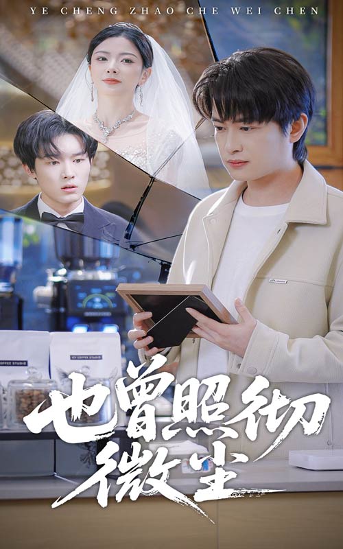 也曾照彻微尘第30集