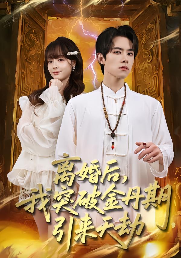 离婚后，我突破金丹期，引来天劫第12集