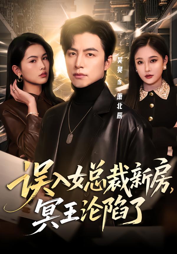 误入女总裁新房，冥王沦陷了(全集)