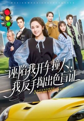 诬陷我开车撞人，我反手掏出色盲证(全集)