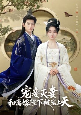 宠妾灭妻，和离嫁陛下被宠上天第30集