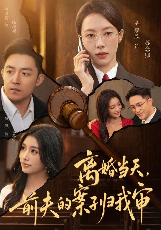离婚当天，前夫的案子归我审(全集)