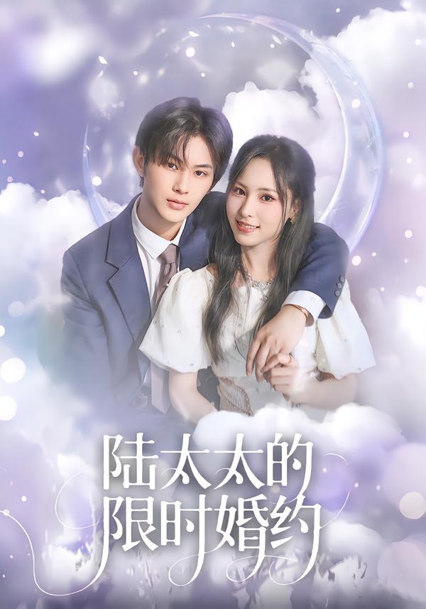 陆太太的限时婚约(全集)