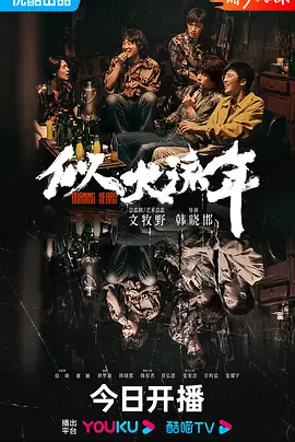 似火流年第30集(大结局)