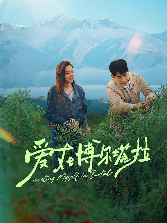 爱在博尔塔拉第09集